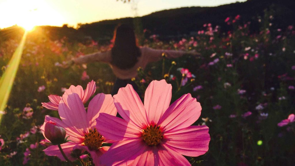 girl-sunrise-pinkflower-web